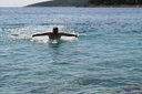 gal/cro 08/_thb_small-IMG_4943.JPG